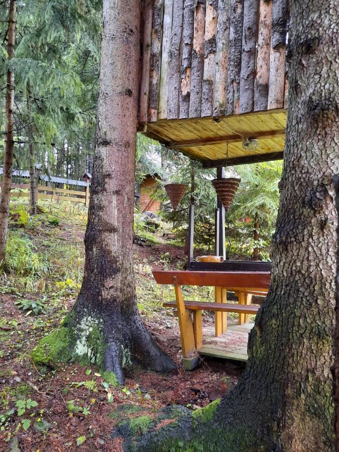 Apartment Na Stoku Korbielow