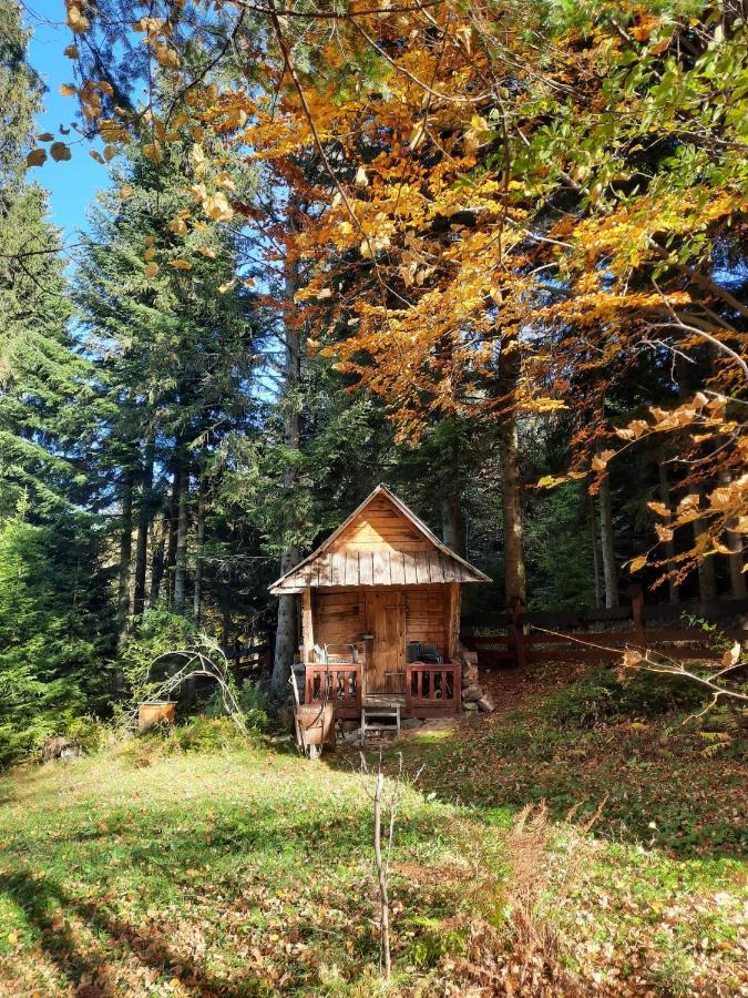 Apartment Na Stoku